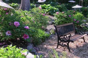Visit Cricket Hill Garden CT: A Serene Garden Escape | The Ultimate Gardening Guide: Grow a Thriving Garden Year-Round