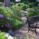 Visit Cricket Hill Garden CT: A Serene Garden Escape | The Ultimate Gardening Guide: Grow a Thriving Garden Year-Round