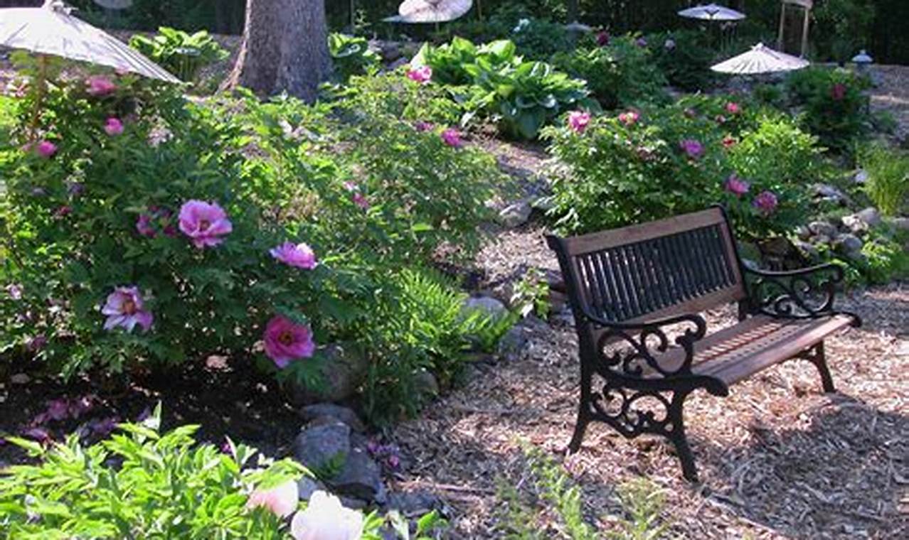 Visit Cricket Hill Garden CT: A Serene Garden Escape | The Ultimate Gardening Guide: Grow a Thriving Garden Year-Round