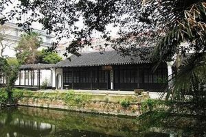 Your Jin Jin Garden: Design & Care Tips (Simple Guide) | The Ultimate Gardening Guide: Grow a Thriving Garden Year-Round