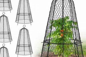 Grow More! Garden Cloches for Plants &amp; Beyond | The Ultimate Gardening Guide: Grow a Thriving Garden Year-Round