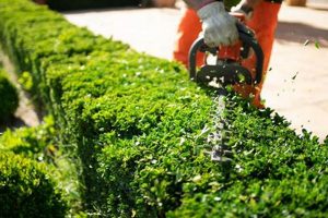 Local Garden Maintenance Services Experts + Tips! | The Ultimate Gardening Guide: Grow a Thriving Garden Year-Round