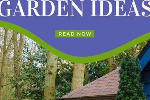 Find Local Garden Rental Plots: Your Dream Garden Awaits! | The Ultimate Gardening Guide: Grow a Thriving Garden Year-Round