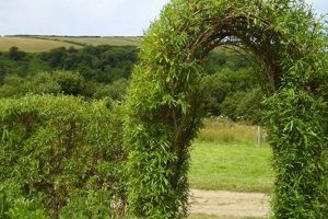 Create Your Own Willows Garden Oasis: Guide & Tips | The Ultimate Gardening Guide: Grow a Thriving Garden Year-Round