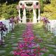 Find Dreamy Garden Weddings Near Me: Venues & Tips | The Ultimate Gardening Guide: Grow a Thriving Garden Year-Round