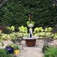 Unlock Your Garden's Magic: A Guide to Garden Moongates | The Ultimate Gardening Guide: Grow a Thriving Garden Year-Round