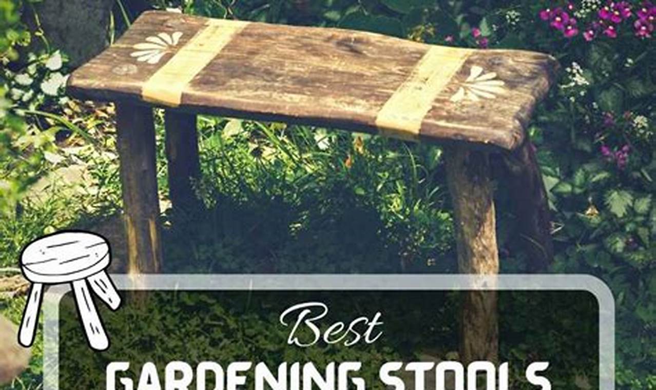 Best Garden Stool for Elderly: Safe & Comfy Seating The Ultimate Gardening Guide: Grow a Thriving Garden Year-Round Best Garden Stool for Elderly: Safe & Comfy Seating | The Ultimate Gardening Guide: Grow a Thriving Garden Year-Round