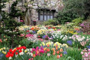 Easy Springtime Garden Plants: Blooms & Beyond! The Ultimate Gardening Guide: Grow a Thriving Garden Year-Round Easy Springtime Garden Plants: Blooms & Beyond! | The Ultimate Gardening Guide: Grow a Thriving Garden Year-Round