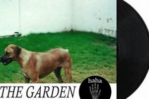 Best Garden Vinyl Guide: Uses & More The Ultimate Gardening Guide: Grow a Thriving Garden Year-Round Best Garden Vinyl Guide: Uses & More | The Ultimate Gardening Guide: Grow a Thriving Garden Year-Round