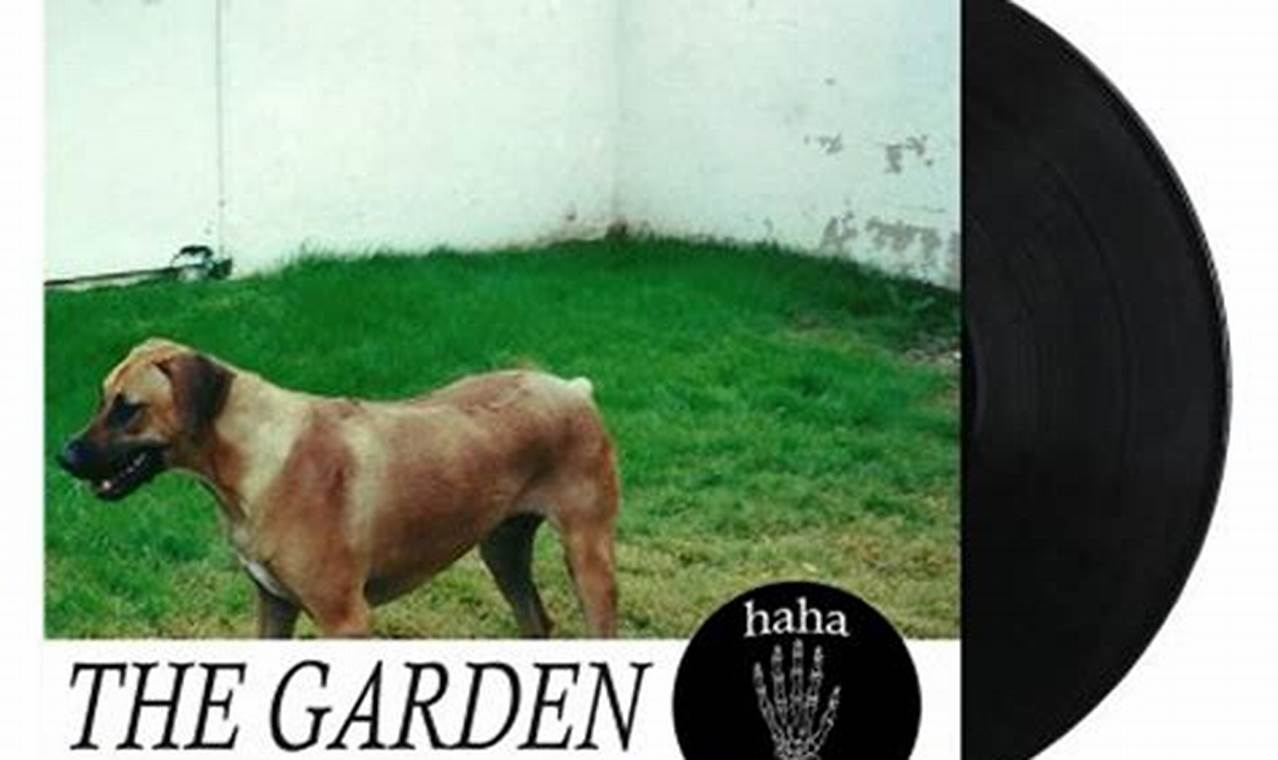 Best Garden Vinyl Guide: Uses & More The Ultimate Gardening Guide: Grow a Thriving Garden Year-Round Best Garden Vinyl Guide: Uses & More | The Ultimate Gardening Guide: Grow a Thriving Garden Year-Round