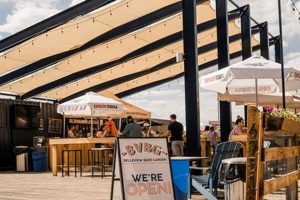 Your Guide to Belleview Beer Garden Bliss (and More!) | The Ultimate Gardening Guide: Grow a Thriving Garden Year-Round