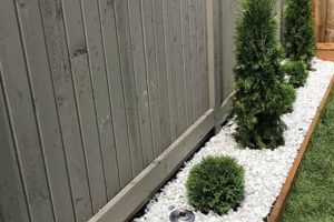 Enhance Your Garden: White Stone for Garden Ideas & Benefits | The Ultimate Gardening Guide: Grow a Thriving Garden Year-Round