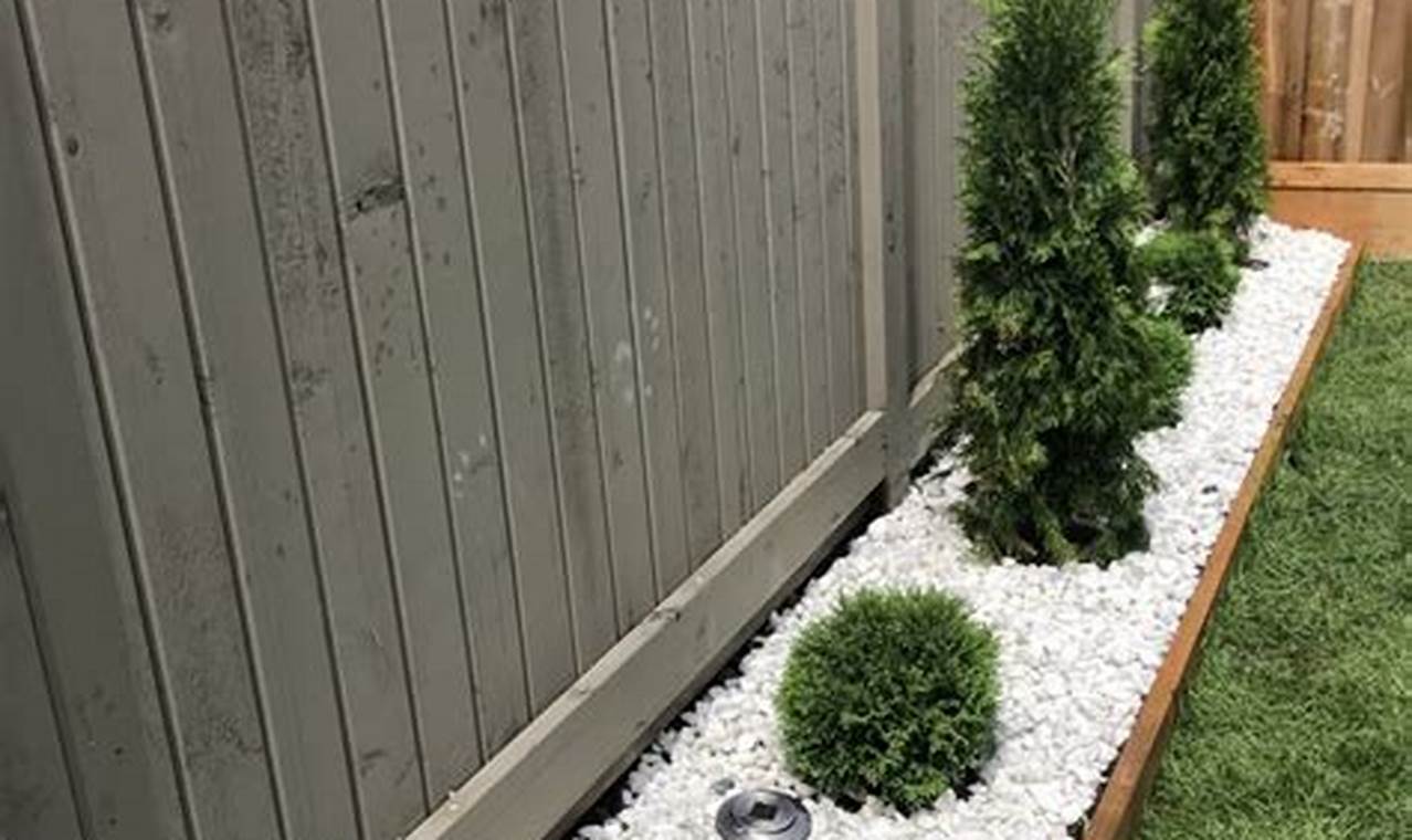 Enhance Your Garden: White Stone for Garden Ideas & Benefits The Ultimate Gardening Guide: Grow a Thriving Garden Year-Round Enhance Your Garden: White Stone for Garden Ideas & Benefits | The Ultimate Gardening Guide: Grow a Thriving Garden Year-Round