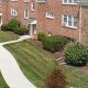 Menands Garden Apartments: Serene Living in Menands! | The Ultimate Gardening Guide: Grow a Thriving Garden Year-Round