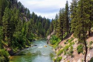 Enhance Garden Valley Email: Tips & Tricks The Ultimate Gardening Guide: Grow a Thriving Garden Year-Round Enhance Garden Valley Email: Tips & Tricks | The Ultimate Gardening Guide: Grow a Thriving Garden Year-Round