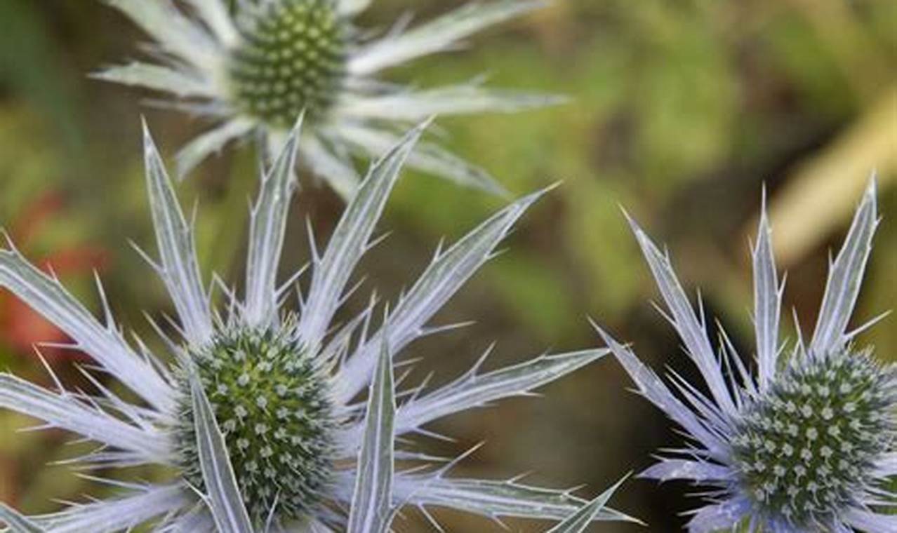 The Art of Secret Garden Growers: Cultivating Hidden Gems The Ultimate Gardening Guide: Grow a Thriving Garden Year-Round The Art of Secret Garden Growers: Cultivating Hidden Gems | The Ultimate Gardening Guide: Grow a Thriving Garden Year-Round