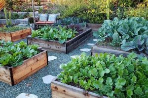 Grow Your Best Ground Garden: Tips & Tricks! The Ultimate Gardening Guide: Grow a Thriving Garden Year-Round Grow Your Best Ground Garden: Tips & Tricks! | The Ultimate Gardening Guide: Grow a Thriving Garden Year-Round