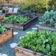 Grow Your Best Ground Garden: Tips & Tricks! | The Ultimate Gardening Guide: Grow a Thriving Garden Year-Round