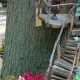Unleash Garden Whimsy: Playful Outdoor Spaces | The Ultimate Gardening Guide: Grow a Thriving Garden Year-Round