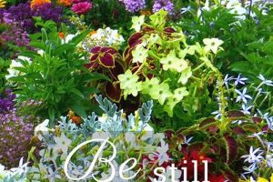 Decoding Garden Scripture: Spiritual Gardens Guide The Ultimate Gardening Guide: Grow a Thriving Garden Year-Round Decoding Garden Scripture: Spiritual Gardens Guide | The Ultimate Gardening Guide: Grow a Thriving Garden Year-Round