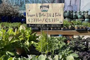 Rethinking Left Field Garden Supply: Eco Tips & Ideas The Ultimate Gardening Guide: Grow a Thriving Garden Year-Round Rethinking Left Field Garden Supply: Eco Tips & Ideas | The Ultimate Gardening Guide: Grow a Thriving Garden Year-Round