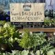 Rethinking Left Field Garden Supply: Eco Tips & Ideas | The Ultimate Gardening Guide: Grow a Thriving Garden Year-Round