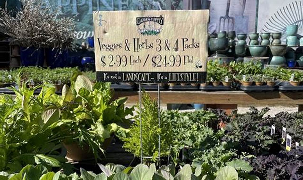 Rethinking Left Field Garden Supply: Eco Tips & Ideas | The Ultimate Gardening Guide: Grow a Thriving Garden Year-Round