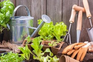 Create Your Dream Gardener's Garden: Design & Tips | The Ultimate Gardening Guide: Grow a Thriving Garden Year-Round