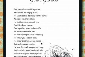 Create Your Own God Garden Oasis: A Spiritual Guide | The Ultimate Gardening Guide: Grow a Thriving Garden Year-Round