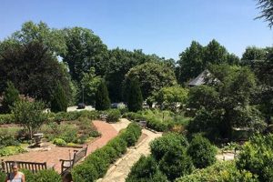 Explore Bishop's Garden: History, Design & Serenity The Ultimate Gardening Guide: Grow a Thriving Garden Year-Round Explore Bishop's Garden: History, Design & Serenity | The Ultimate Gardening Guide: Grow a Thriving Garden Year-Round