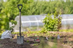 The Essential Spade for Garden: Uses & Buying Guide The Ultimate Gardening Guide: Grow a Thriving Garden Year-Round The Essential Spade for Garden: Uses & Buying Guide | The Ultimate Gardening Guide: Grow a Thriving Garden Year-Round