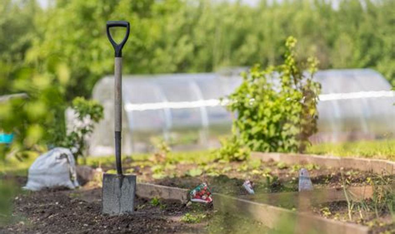The Essential Spade for Garden: Uses & Buying Guide | The Ultimate Gardening Guide: Grow a Thriving Garden Year-Round