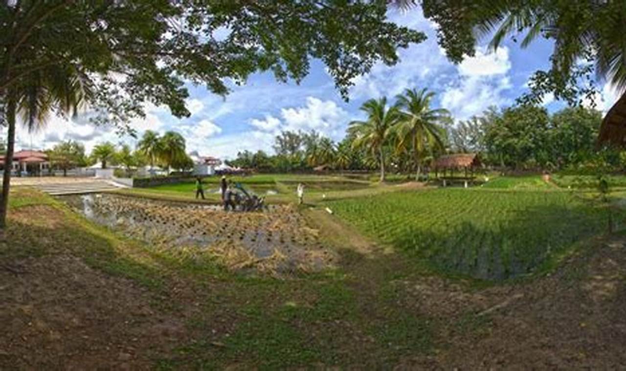 Growing Rice Garden: Tips & Benefits for Your Home The Ultimate Gardening Guide: Grow a Thriving Garden Year-Round Growing Rice Garden: Tips & Benefits for Your Home | The Ultimate Gardening Guide: Grow a Thriving Garden Year-Round