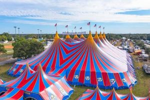 Dallas Circus Fun! Garden Bros Circus in Town | The Ultimate Gardening Guide: Grow a Thriving Garden Year-Round