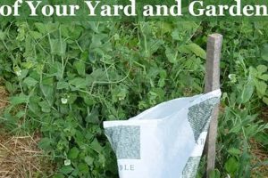 Easy Tips: How Do I Keep Deer Away From My Garden Safely? The Ultimate Gardening Guide: Grow a Thriving Garden Year-Round Easy Tips: How Do I Keep Deer Away From My Garden Safely? | The Ultimate Gardening Guide: Grow a Thriving Garden Year-Round