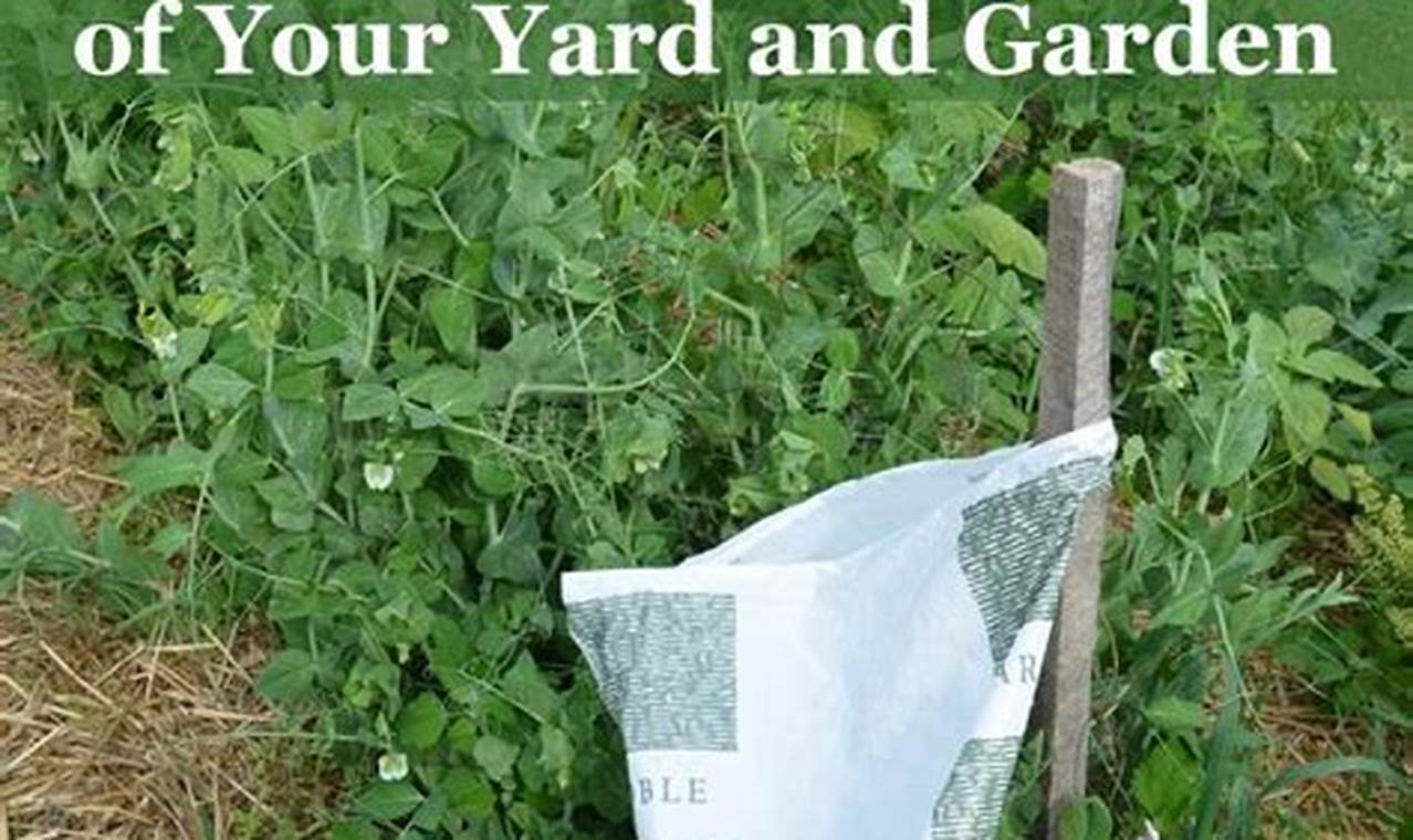 Easy Tips: How Do I Keep Deer Away From My Garden Safely? The Ultimate Gardening Guide: Grow a Thriving Garden Year-Round Easy Tips: How Do I Keep Deer Away From My Garden Safely? | The Ultimate Gardening Guide: Grow a Thriving Garden Year-Round