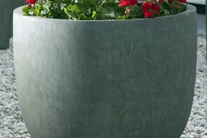 Best Giant Garden Pots for a Stunning Garden + Tips The Ultimate Gardening Guide: Grow a Thriving Garden Year-Round Best Giant Garden Pots for a Stunning Garden + Tips | The Ultimate Gardening Guide: Grow a Thriving Garden Year-Round