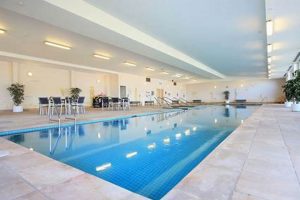 Your Lexington Garden: Design & Care Tips The Ultimate Gardening Guide: Grow a Thriving Garden Year-Round Your Lexington Garden: Design & Care Tips | The Ultimate Gardening Guide: Grow a Thriving Garden Year-Round