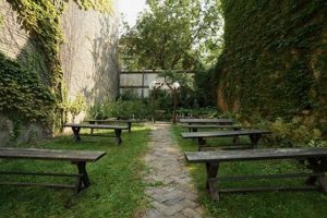 Discover Pilsen Secret Garden: An Urban Oasis Guide | The Ultimate Gardening Guide: Grow a Thriving Garden Year-Round