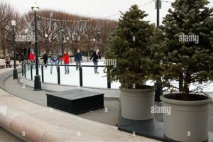 Discover: Sculpture Garden Skating Rink Fun! | The Ultimate Gardening Guide: Grow a Thriving Garden Year-Round