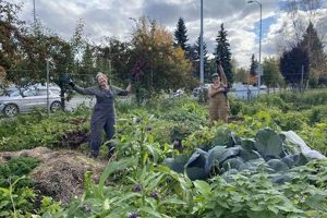Learn: A Demonstration Garden Guide & Tips! The Ultimate Gardening Guide: Grow a Thriving Garden Year-Round Learn: A Demonstration Garden Guide & Tips! | The Ultimate Gardening Guide: Grow a Thriving Garden Year-Round