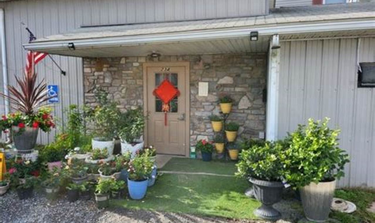 Discover Star Garden Northumberland PA: A Celestial Oasis! The Ultimate Gardening Guide: Grow a Thriving Garden Year-Round Discover Star Garden Northumberland PA: A Celestial Oasis! | The Ultimate Gardening Guide: Grow a Thriving Garden Year-Round