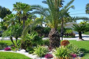 Create Your Tropical Garden of Palms Oasis Today! The Ultimate Gardening Guide: Grow a Thriving Garden Year-Round Create Your Tropical Garden of Palms Oasis Today! | The Ultimate Gardening Guide: Grow a Thriving Garden Year-Round