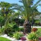 Create Your Tropical Garden of Palms Oasis Today! | The Ultimate Gardening Guide: Grow a Thriving Garden Year-Round