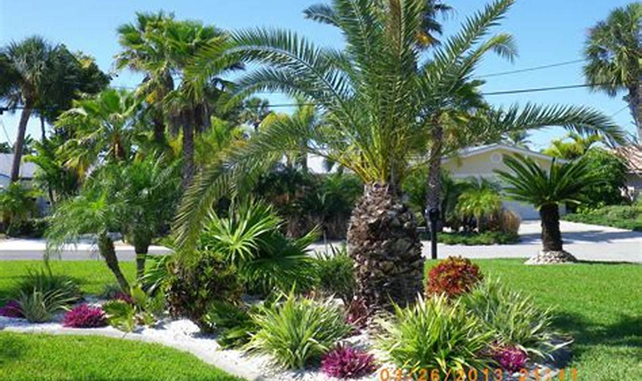 Create Your Tropical Garden of Palms Oasis Today! The Ultimate Gardening Guide: Grow a Thriving Garden Year-Round Create Your Tropical Garden of Palms Oasis Today! | The Ultimate Gardening Guide: Grow a Thriving Garden Year-Round