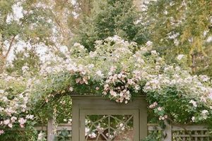 Elevate Your Garden: Gate Trellis Ideas & Designs The Ultimate Gardening Guide: Grow a Thriving Garden Year-Round Elevate Your Garden: Gate Trellis Ideas & Designs | The Ultimate Gardening Guide: Grow a Thriving Garden Year-Round