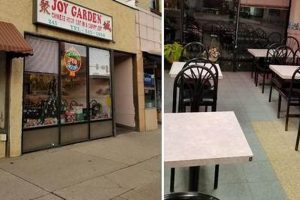 The Joy Garden Galesburg: Local Chinese Eats | The Ultimate Gardening Guide: Grow a Thriving Garden Year-Round