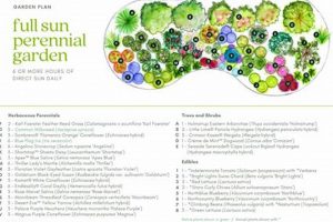Easy Perennial Garden Plans: Design & Grow Your Dream Garden! The Ultimate Gardening Guide: Grow a Thriving Garden Year-Round Easy Perennial Garden Plans: Design & Grow Your Dream Garden! | The Ultimate Gardening Guide: Grow a Thriving Garden Year-Round