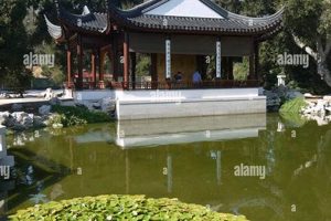 Discover the Serenity: Huntington's Garden of Flowing Fragrance | The Ultimate Gardening Guide: Grow a Thriving Garden Year-Round