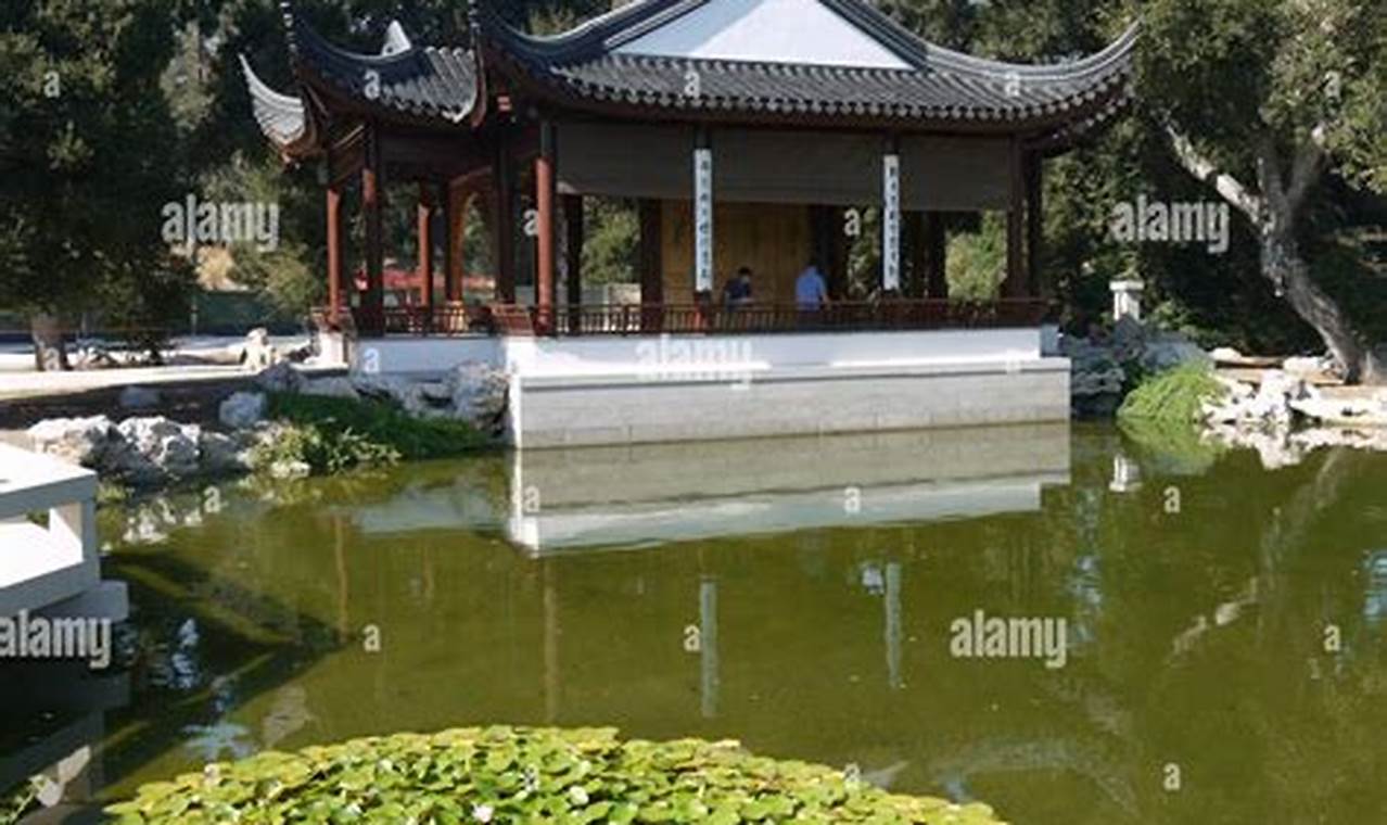 Discover the Serenity: Huntington's Garden of Flowing Fragrance The Ultimate Gardening Guide: Grow a Thriving Garden Year-Round Discover the Serenity: Huntington's Garden of Flowing Fragrance | The Ultimate Gardening Guide: Grow a Thriving Garden Year-Round